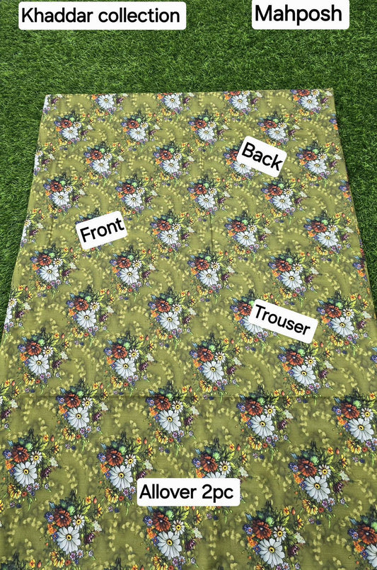 women 2pcs khaddar dress