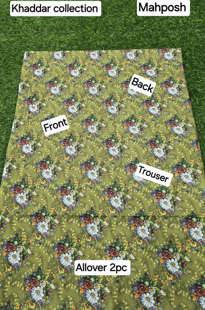 women 2pcs khaddar dress