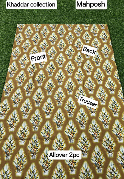 women 2pcs khaddar dress