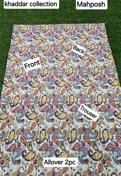 women 2pcs khaddar dress