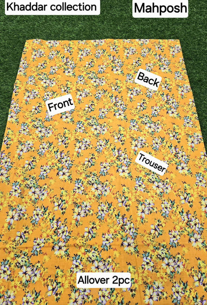 women 2pcs khaddar dress