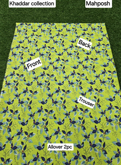 women 2pcs khaddar dress